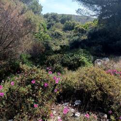 Der Gipfel in Sichtweite