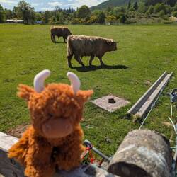 Harry meets his cousin