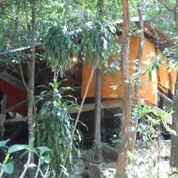 cool la vie de moine !