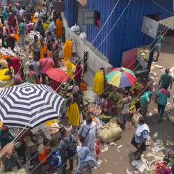 Views of flower market