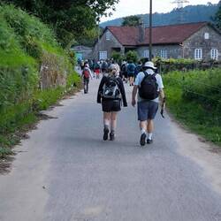 fast schon eine Völkerwanderung...