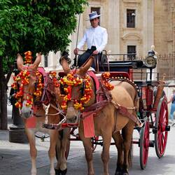 An der Kathedrale von Sevilla