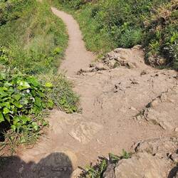 Toller Küstenwanderweg