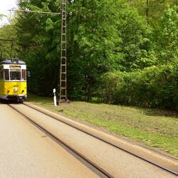 Kirnitzschtal-Straße