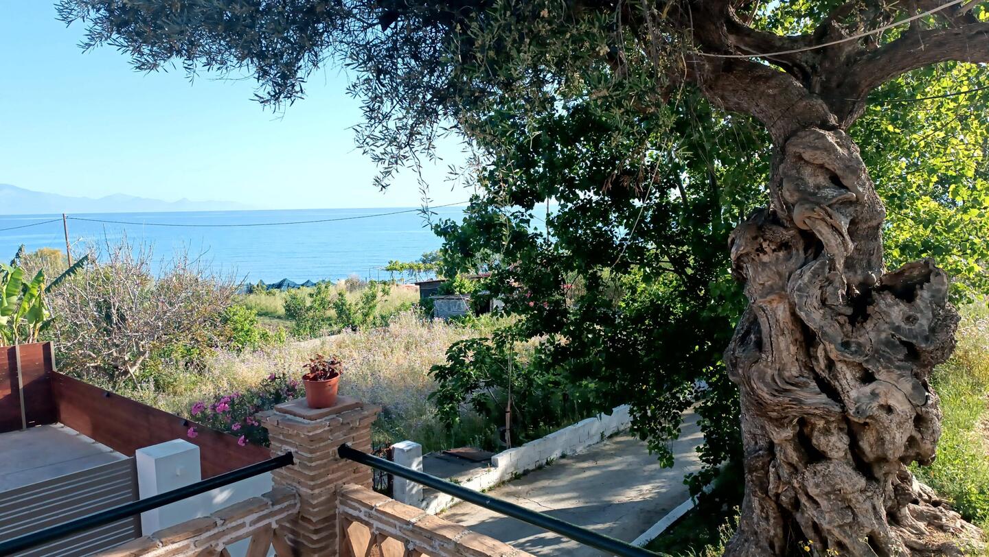 Blick von der Terrasse