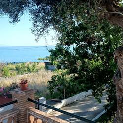 Blick von der Terrasse