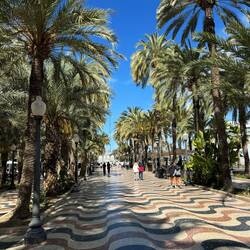 Die Paseo de la Explanada de España lädt zum flanieren ein.