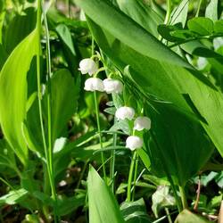 Es ist Mai ❤️❤️❤️