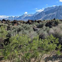 Desert to the mountains