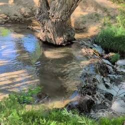 Desert springs
