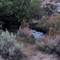 Our little campside waterfall