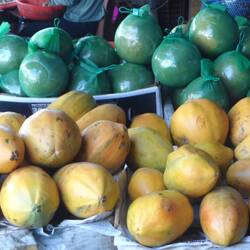 pour Martine et Wani