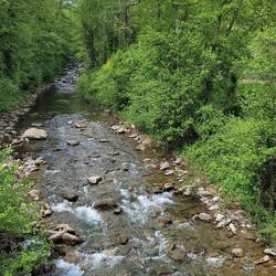 der Arno, noch so klein
