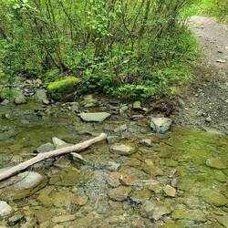 Bachquerung mit "Seilversicherung" 😉