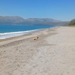 Einsamer,wunderschöner Strand