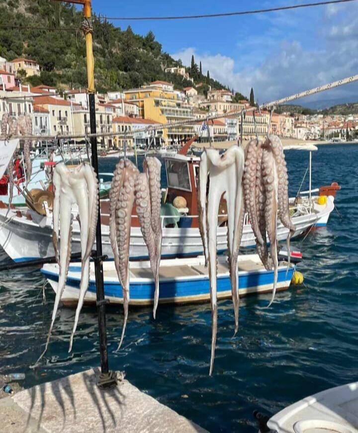 Der malerische Ort wie im Bilderbuch " Gythio"