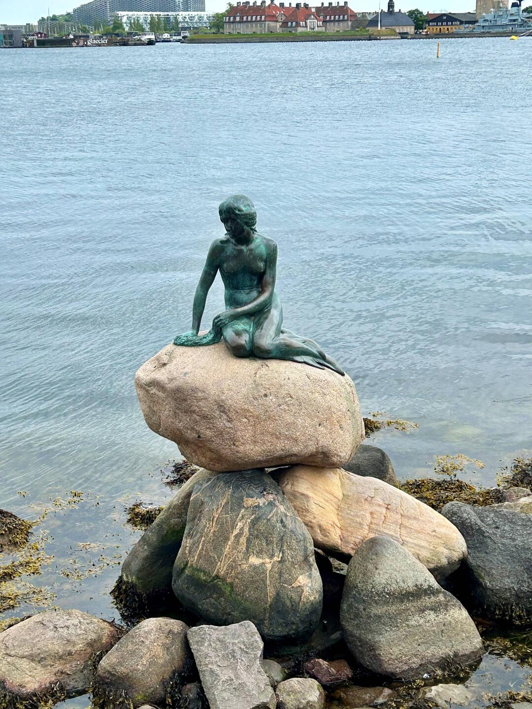 Die kleine Meerjungfrau 🧜‍♀️.