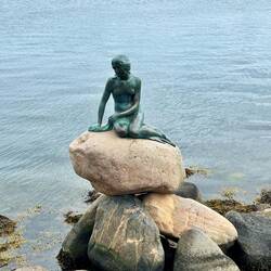 Die kleine Meerjungfrau 🧜‍♀️.