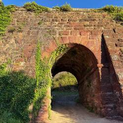 Under the train track