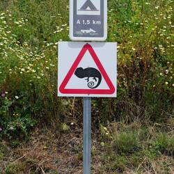 Noch nie so ein Schild gesehen