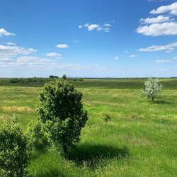 Hoetobágy NP