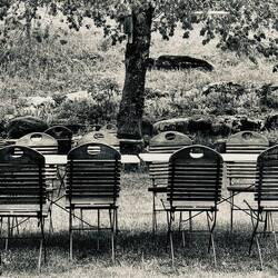 Garten - im Regen....