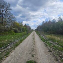 Endlos zieht sich die Strecke bis zum Horizont... Und dann tauchte ein Elch auf!