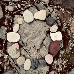 Zufallsfund im Alpgarten...