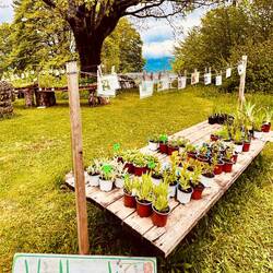 Kräutergarten der Schweibenalp: Permakultur