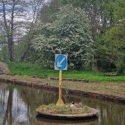 You don't often see a keep left sign in the middle of the canal; boats normally keep right