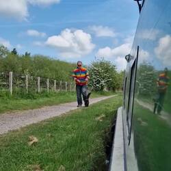 Whiskers has learned to walk surprisingly well on the lead