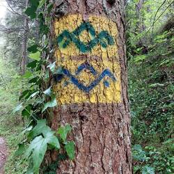 Das ist das Logo vom SalzAlpenSteig.