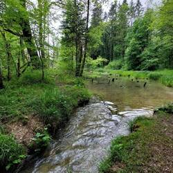 Das ist der Grabenbach.