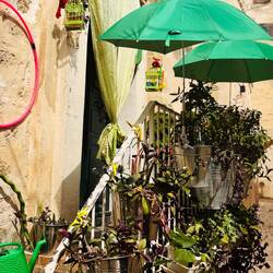 Altstadt-Sprenkel...