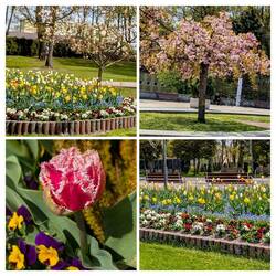 wunderschöne Grünanlagen