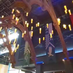Our Magical Dinner Venue
