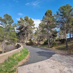 Die Serpentinen für die 300 zusätzlichen Höhenmeter