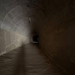 Alle wegen Diebstahls und Vandalismus ohne Licht.