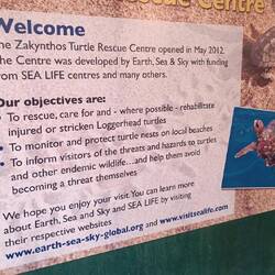 Turtle Rescue Center