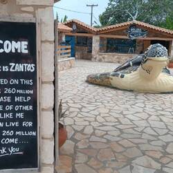 Turtle Rescue Center
