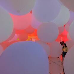 Nous sommes tels des spermatozoïdes dans un tas d'œufs de poisson 🐟