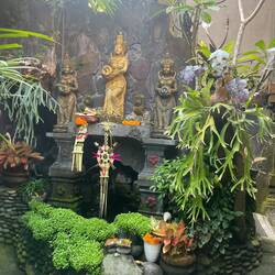 Just my living room fountain