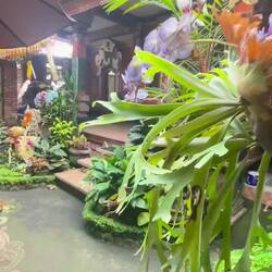 My Homestay 💜