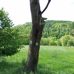 Wer hat dort seine Schuhe vergessen?