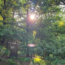 Morgendlicher Blick aus dem Zelt