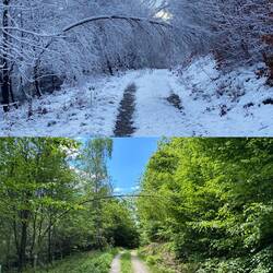 Vergleich Januar zu Mai