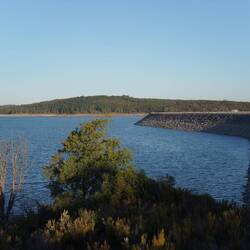 Höhepunkt des Tages: Kängurus am Cardinia Reservoir, einer der Trinkwasserspeicher von Melbourne.