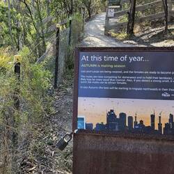 Leider waren wir zu spät, im Spätherbst ziehen sie um.