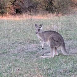 Hier noch mal in groß.