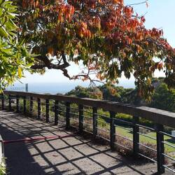 Aber schöner Herbst in Australien.